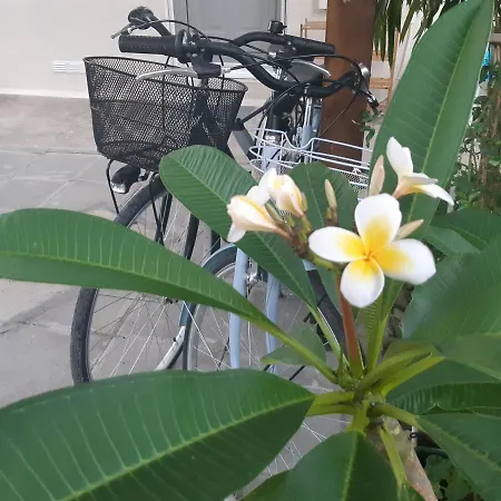 House Near The * Perivolia