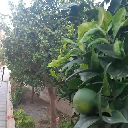 House Near The Feriehus