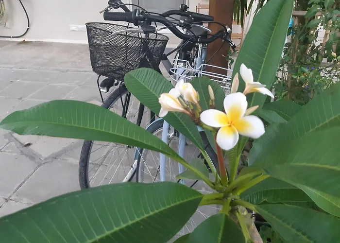 House Near The * Perivolia