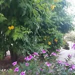 House Near The *