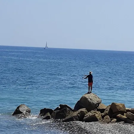 펜션 House Near The *