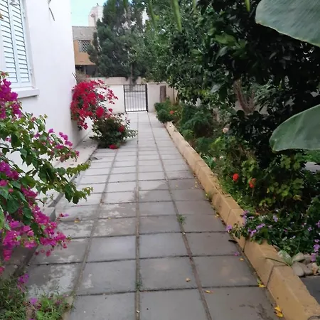 House Near The * Perivolia