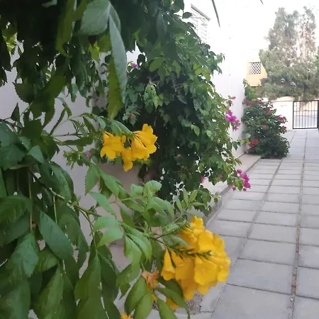 House Near The Nyaraló Perivólia