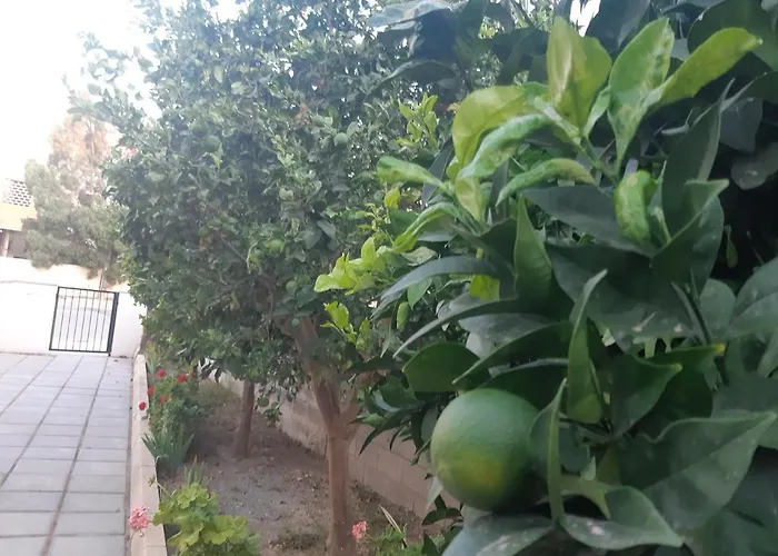 House Near The 別荘